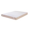 Waterproof Anti-bacterial 100% Cotton Terry Fabric with 2s TPU Coating Terry Mattress Protector Whole Sales