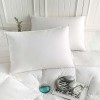 75% White Goose Down Pillow Firm
