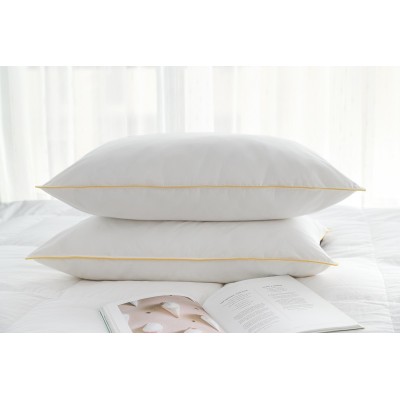 Eco friendly manufacturer make  all better cotton 2PK color piping pillow